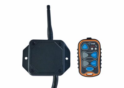 Wireless Remote System